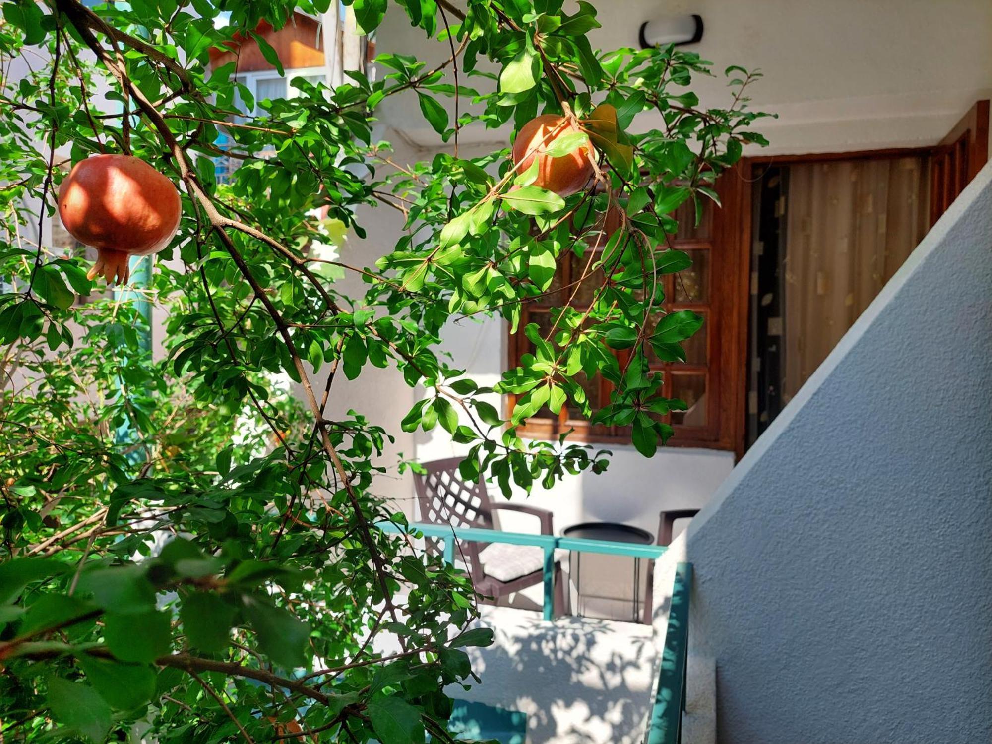 Madera Hotel Tbilisi Ngoại thất bức ảnh